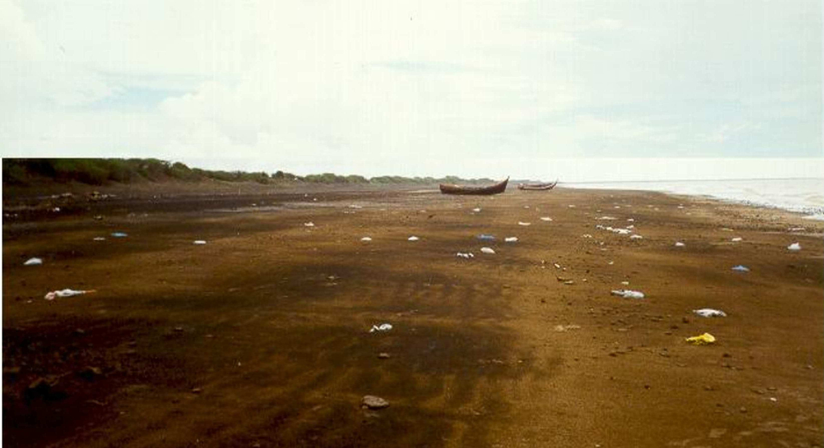 Dahej Ferry Port Assessment Beckett Rankine